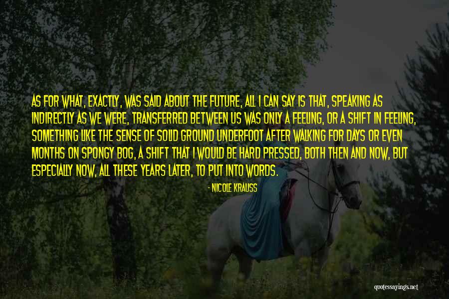 Even Ground Quotes By Nicole Krauss Even Ground Quotes By Nicole Krauss