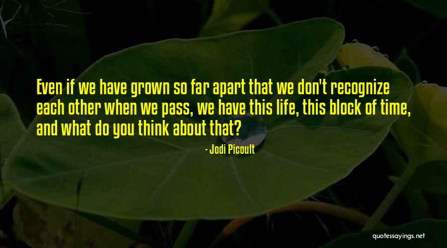 Even If We're Apart Quotes By Jodi Picoult