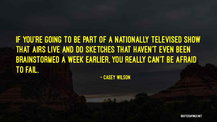 Even If You Fail Quotes By Casey Wilson Even If You Fail Quotes By Casey Wilson