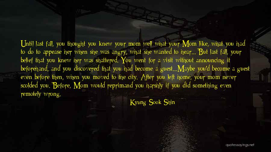 Even If You Fall Quotes By Kyung-Sook Shin