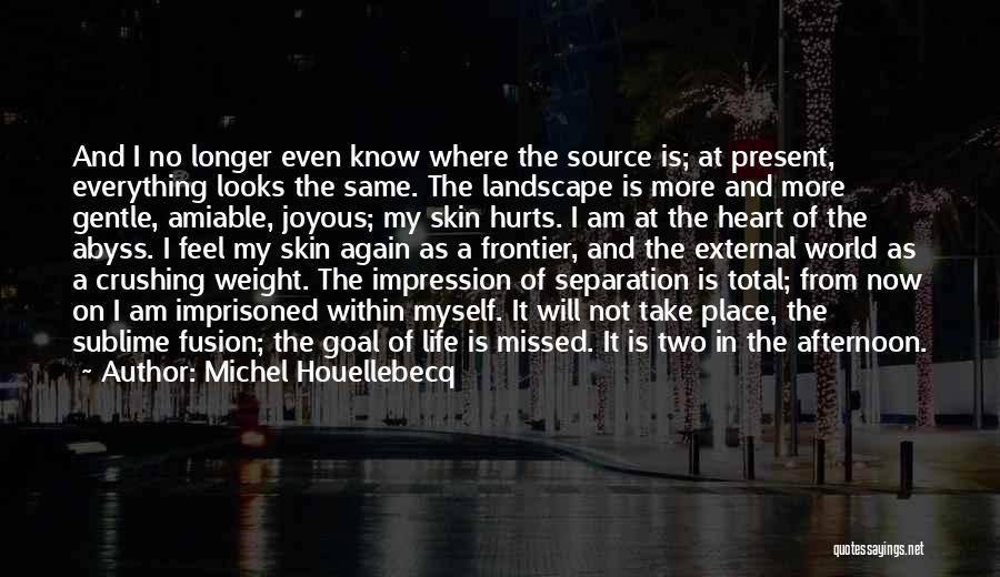 Even It Hurts Quotes By Michel Houellebecq