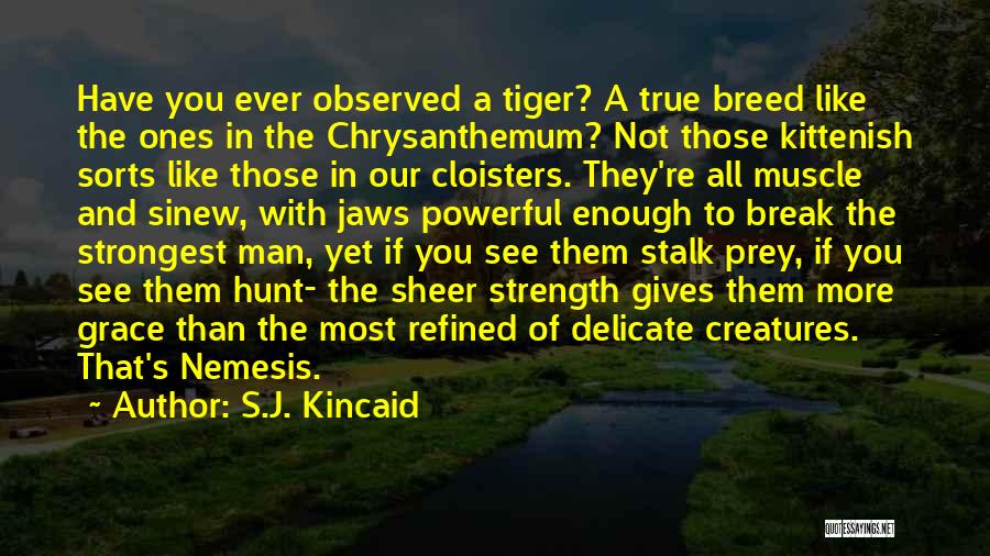 Even The Strongest Break Quotes By S.J. Kincaid