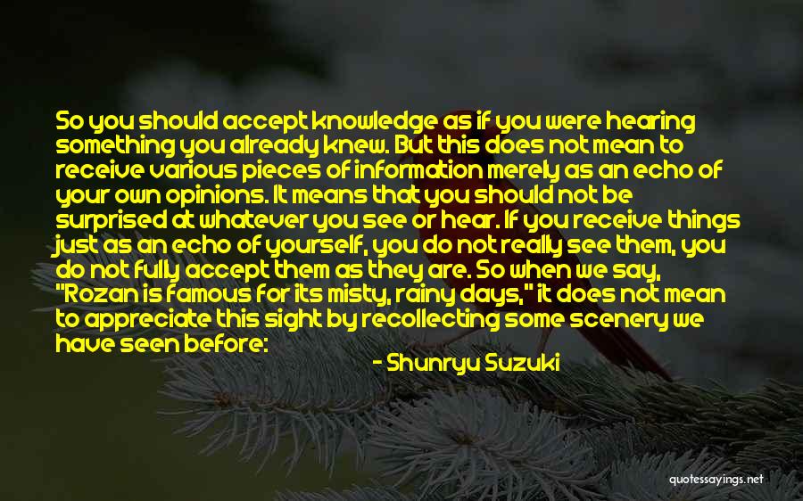 Even Though We're Just Friends Quotes By Shunryu Suzuki