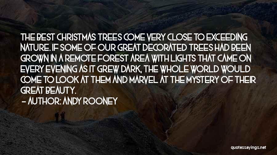 Evening Beauty Quotes By Andy Rooney