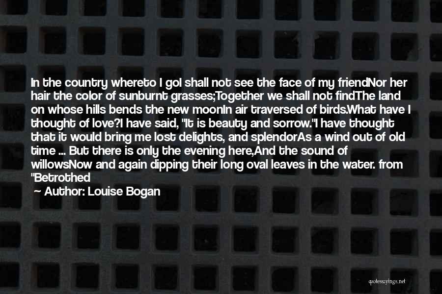 Evening Beauty Quotes By Louise Bogan