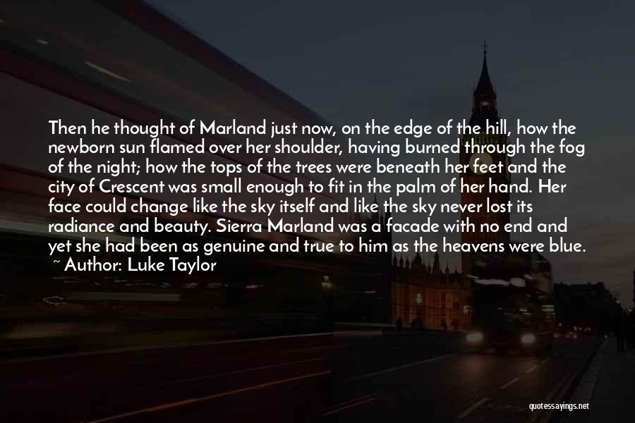 Evening Beauty Quotes By Luke Taylor