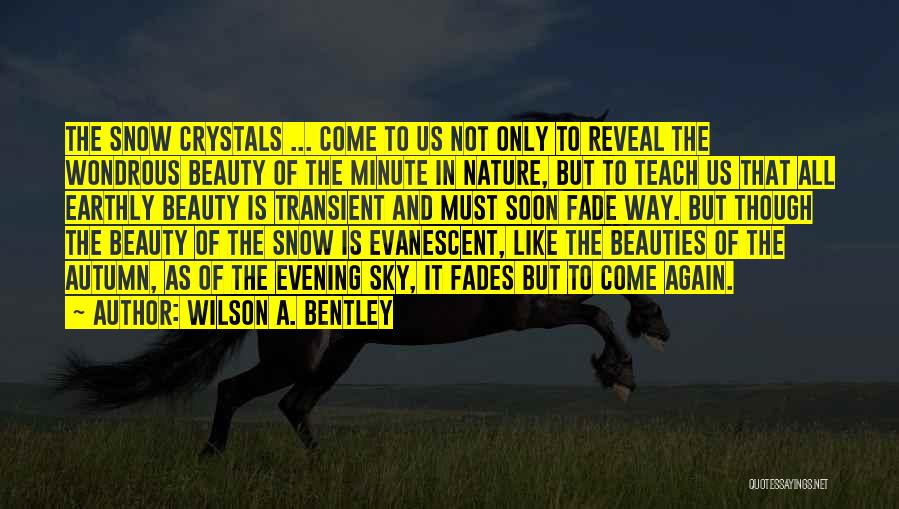 Evening Beauty Quotes By Wilson A. Bentley