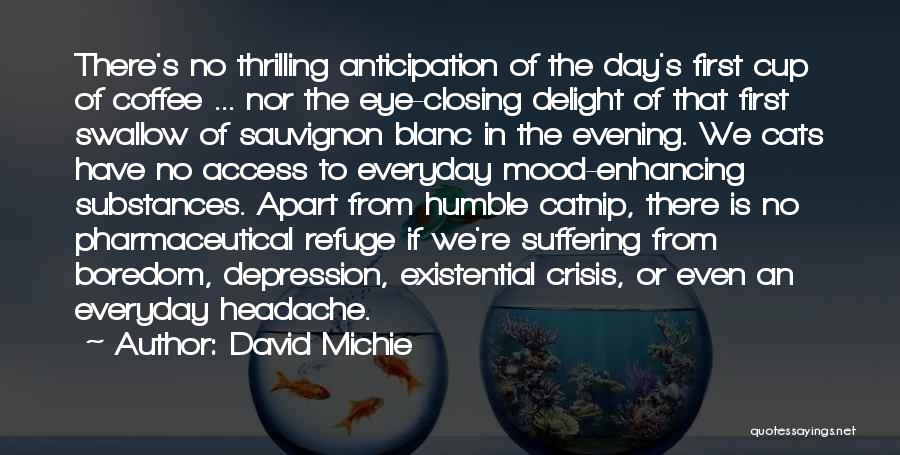 Evening Coffee Quotes By David Michie