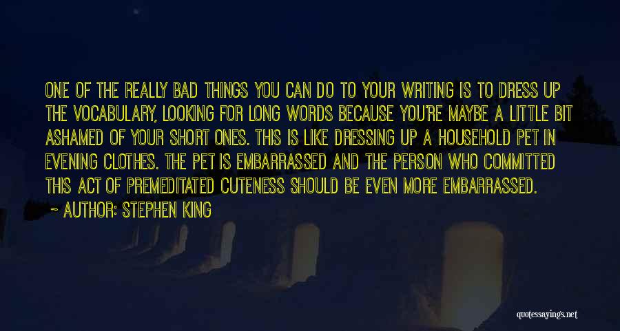 Evening Dress Quotes By Stephen King