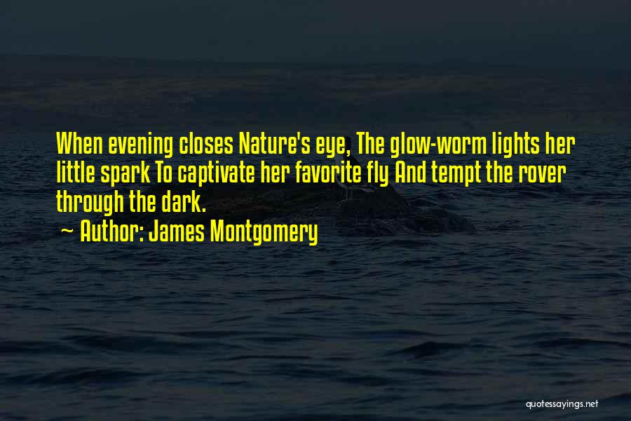 Evening Glow Quotes By James Montgomery