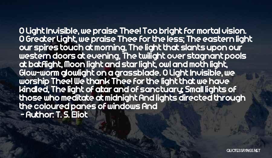 Evening Glow Quotes By T. S. Eliot