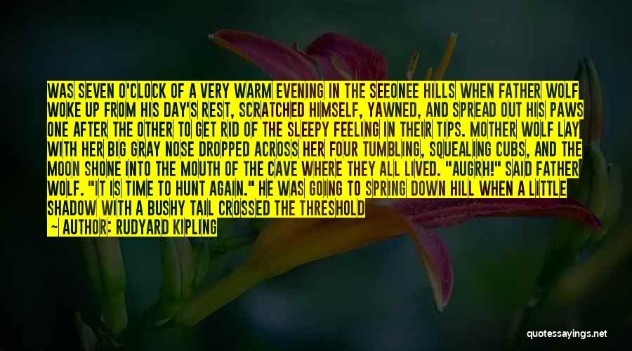 Evening Quotes By Rudyard Kipling