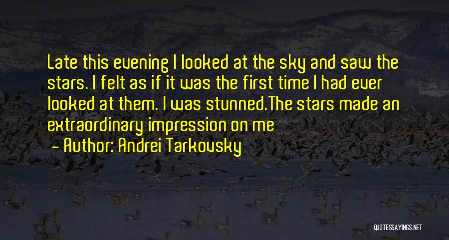 Evening Sky Quotes By Andrei Tarkovsky
