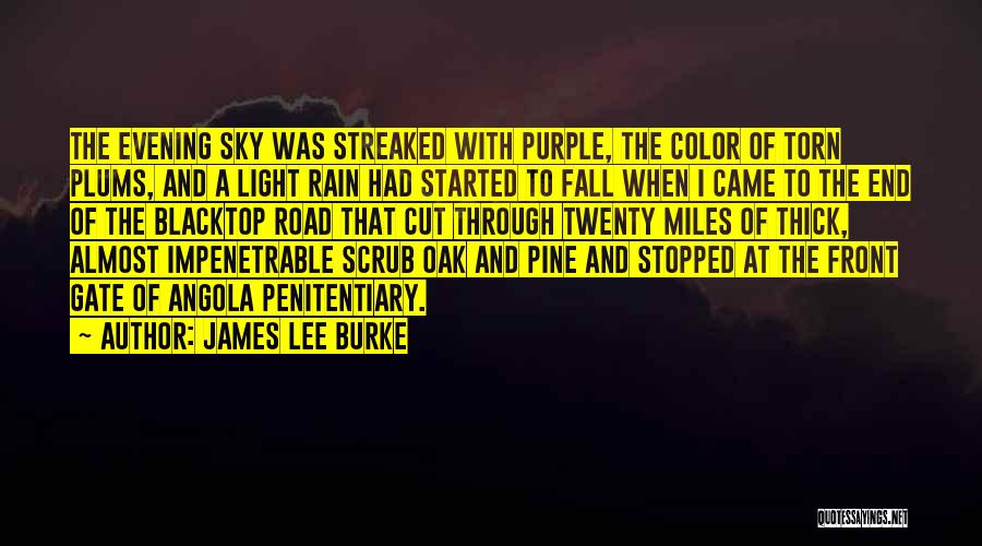 Evening Sky Quotes By James Lee Burke