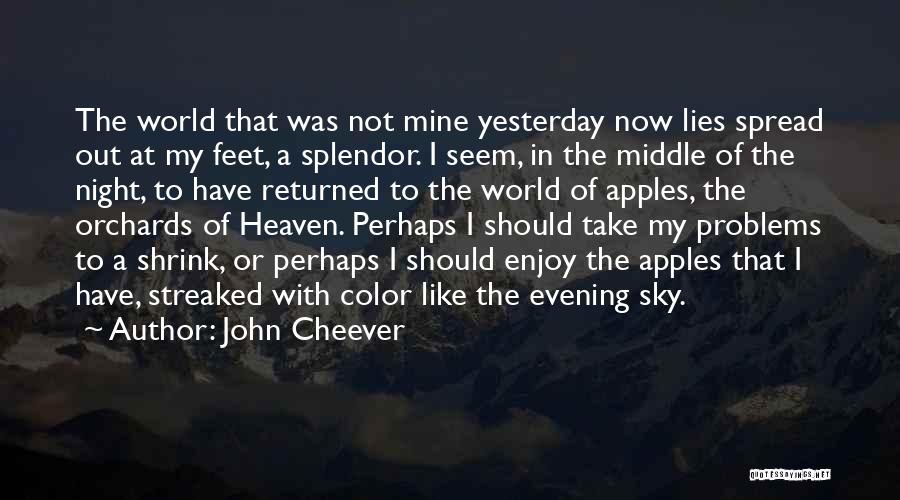 Evening Sky Quotes By John Cheever