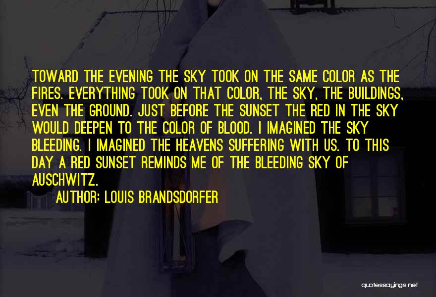 Evening Sky Quotes By Louis Brandsdorfer