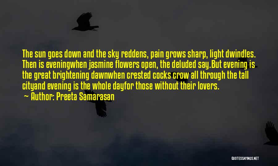 Evening Sky Quotes By Preeta Samarasan