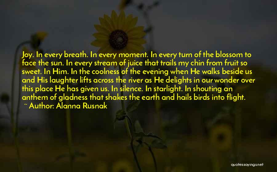 Evening Sun Quotes By Alanna Rusnak