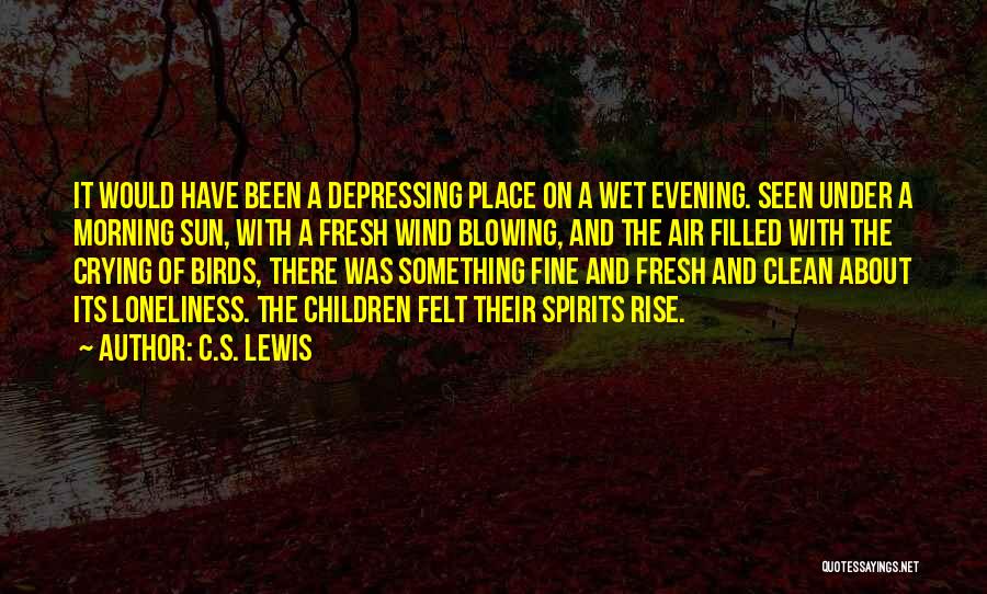 Evening Sun Quotes By C.S. Lewis