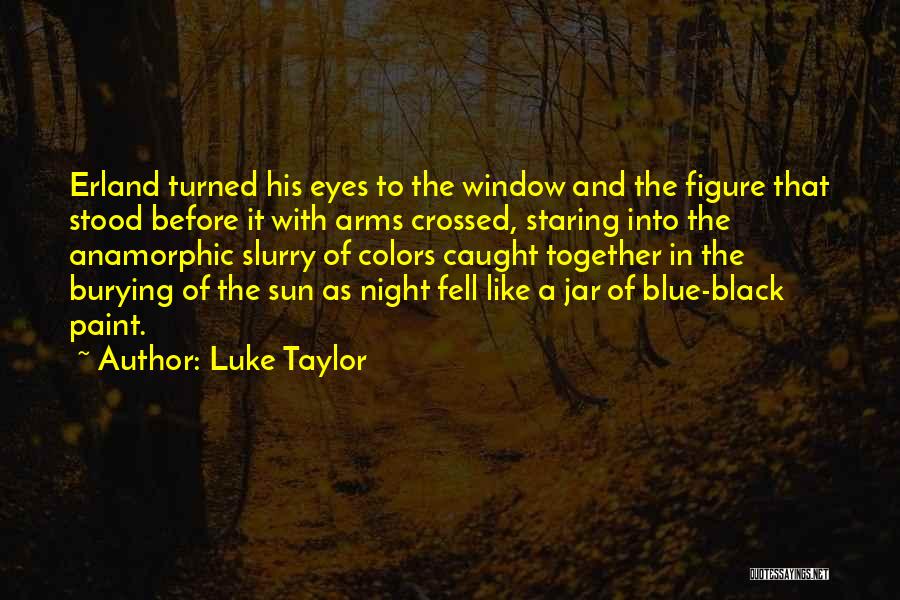 Evening Sun Quotes By Luke Taylor