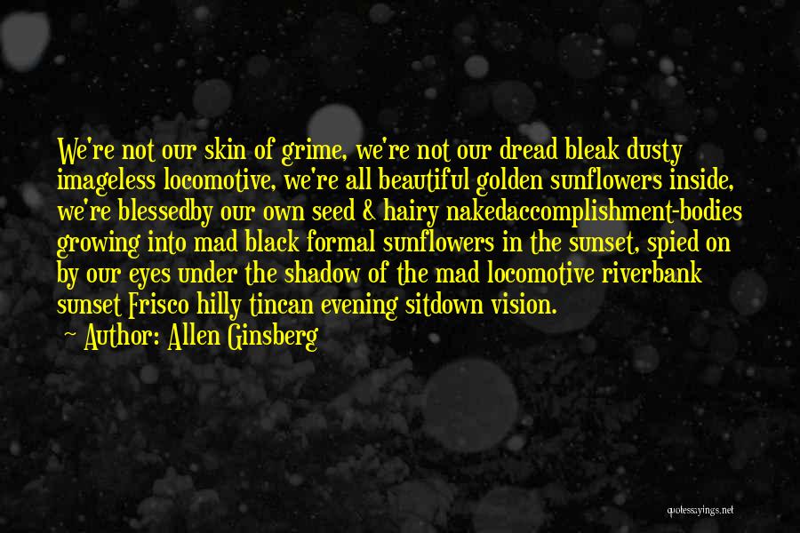 Evening Sunset Quotes By Allen Ginsberg