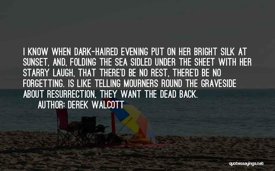 Evening Sunset Quotes By Derek Walcott