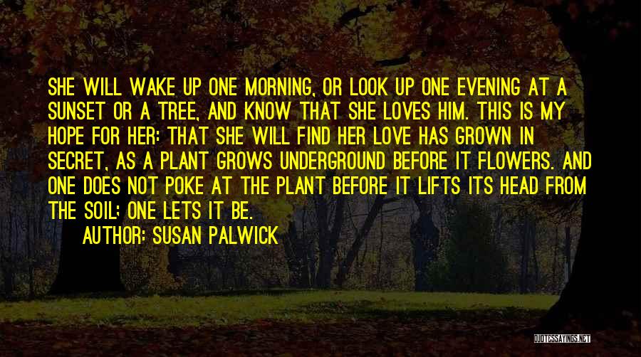 Evening Sunset Quotes By Susan Palwick