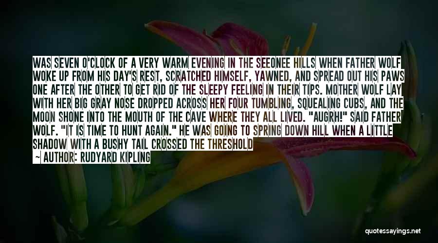 Evening Time Quotes By Rudyard Kipling