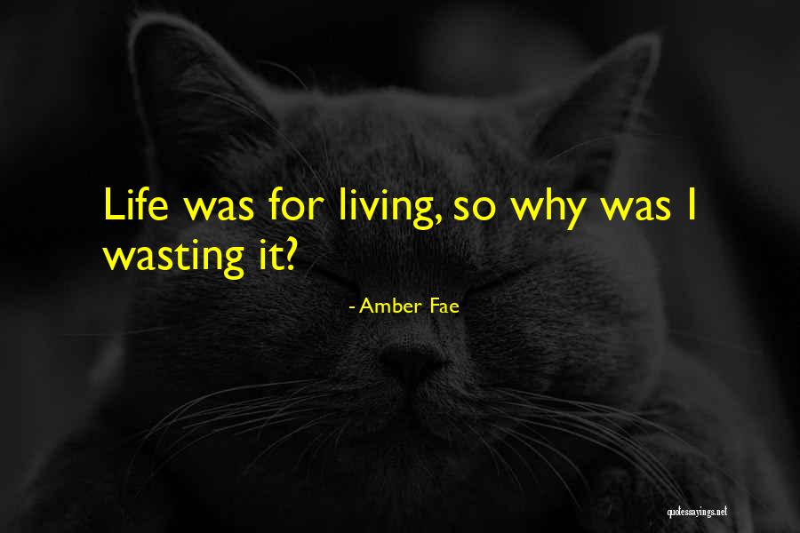 Evenness Quotes By Amber Fae Evenness Quotes By Amber Fae