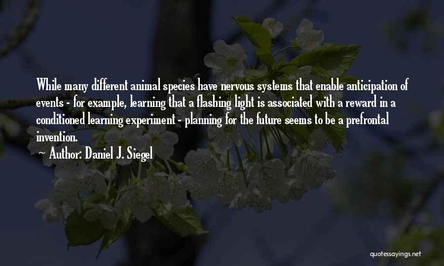 Events Planning Quotes By Daniel J. Siegel