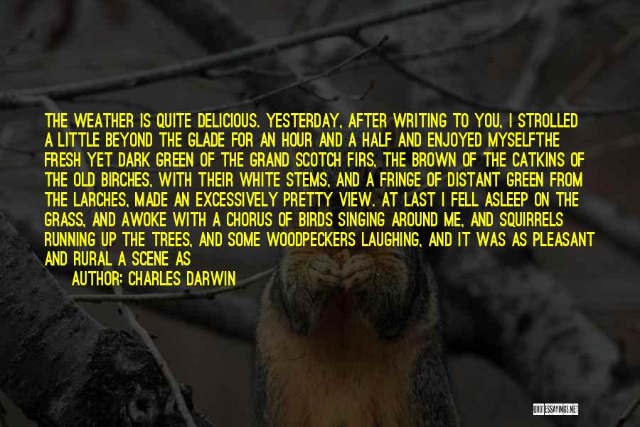 Ever After Quotes By Charles Darwin