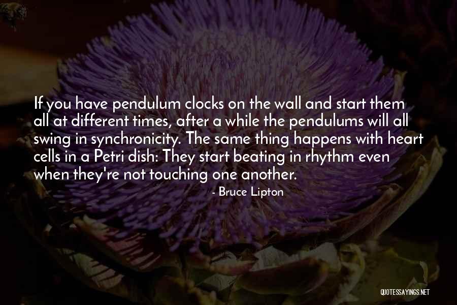 Ever Heart Touching Quotes By Bruce Lipton Ever Heart Touching Quotes By Bruce Lipton