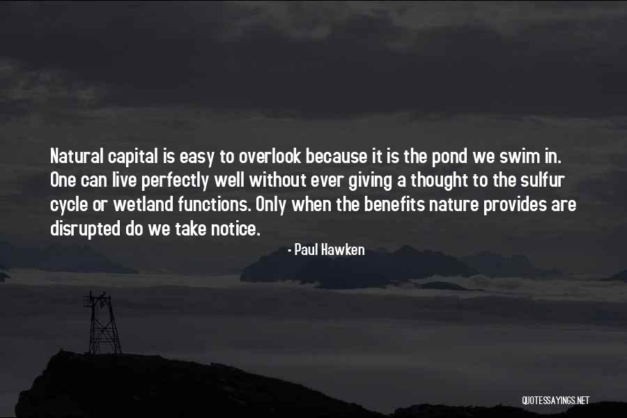 Ever Notice Quotes By Paul Hawken Ever Notice Quotes By Paul Hawken
