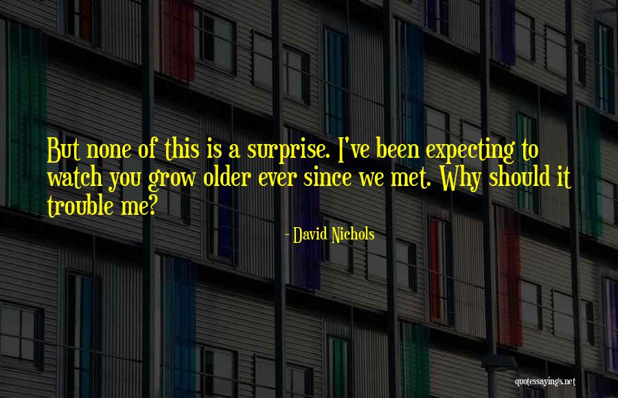 Ever Since I Met You Love Quotes By David Nichols