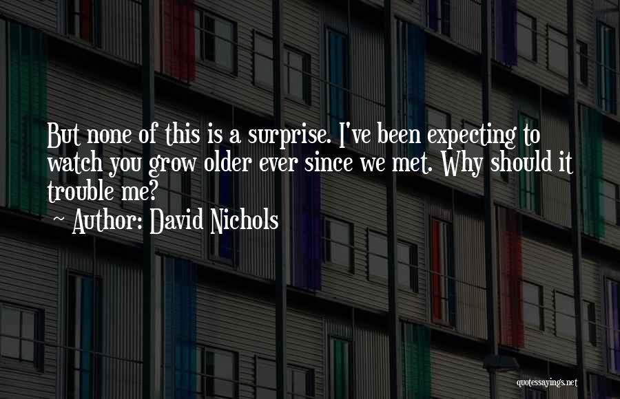 Ever Since I Met You Quotes By David Nichols