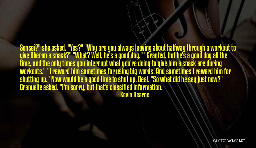 Evere Quotes By Kevin Hearne Evere Quotes By Kevin Hearne