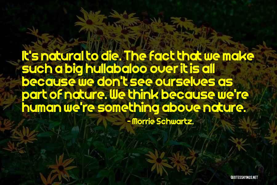 Everest Qartulad Quotes By Morrie Schwartz. Everest Qartulad Quotes By Morrie Schwartz.