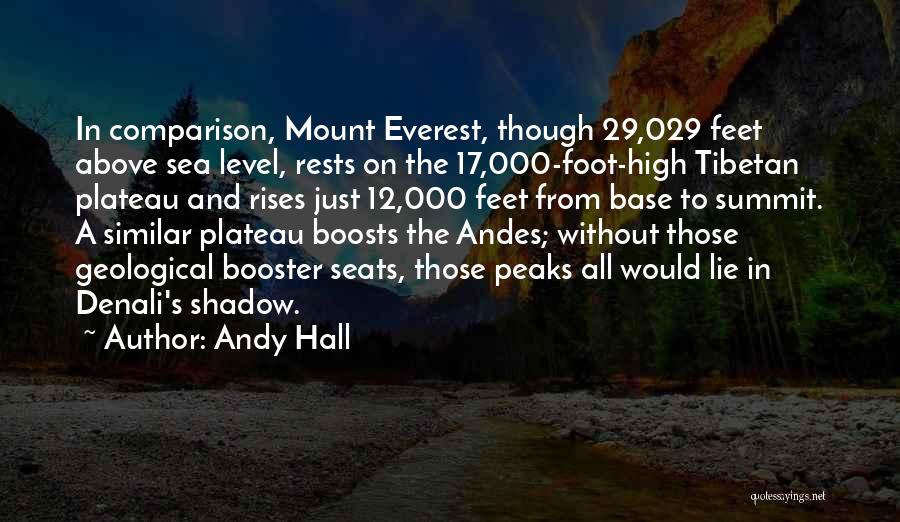 Everest Quotes By Andy Hall