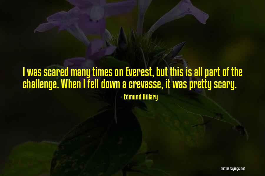 Everest Quotes By Edmund Hillary Everest Quotes By Edmund Hillary