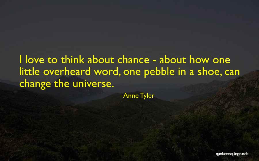 Everests Quotes By Anne Tyler