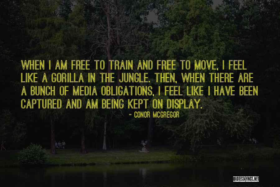 Everests Quotes By Conor McGregor