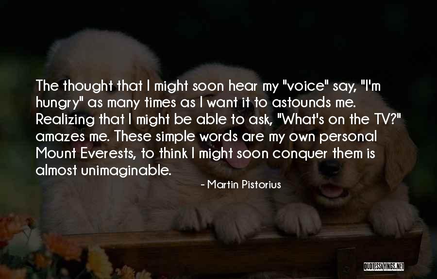 Everests Quotes By Martin Pistorius