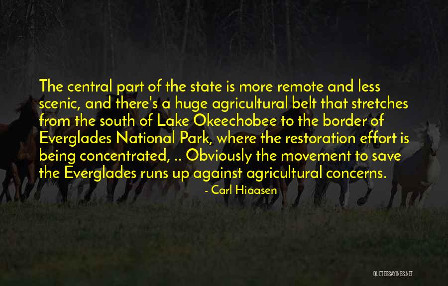 Everglades National Park Quotes By Carl Hiaasen