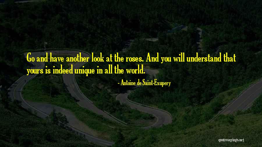 Evergold Plant Quotes By Antoine De Saint-Exupery Evergold Plant Quotes By Antoine De Saint-Exupery