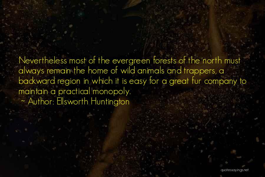 Evergreen Forests Quotes By Ellsworth Huntington