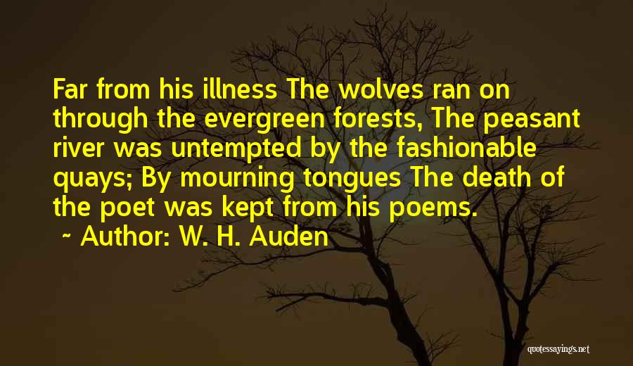 Evergreen Forests Quotes By W. H. Auden