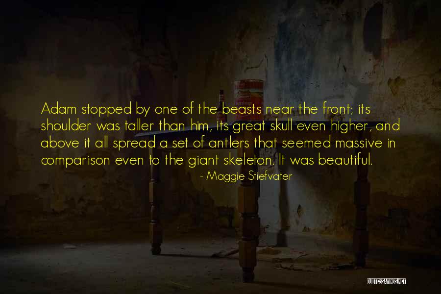 Evergy Quotes By Maggie Stiefvater Evergy Quotes By Maggie Stiefvater