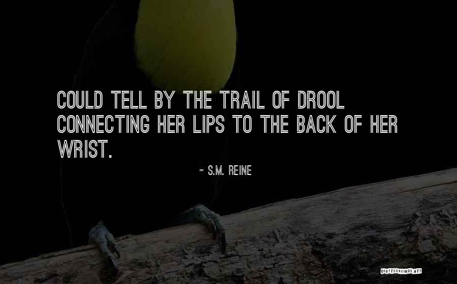 Everjoy Australia Quotes By S.M. Reine Everjoy Australia Quotes By S.M. Reine