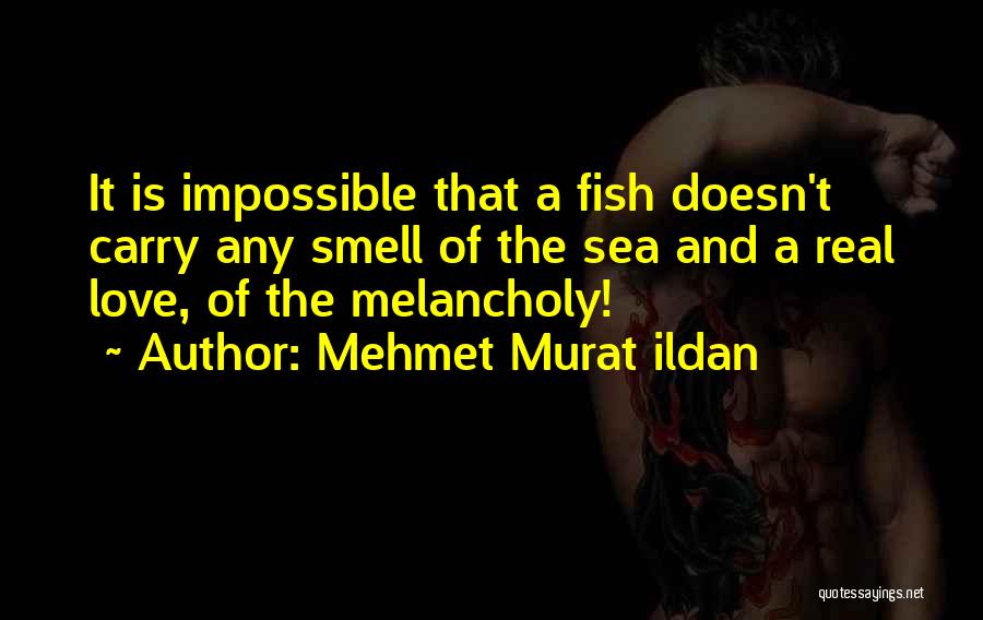 Everlane Quotes By Mehmet Murat Ildan