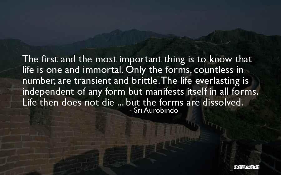 Everlasting Life Quotes By Sri Aurobindo Everlasting Life Quotes By Sri Aurobindo
